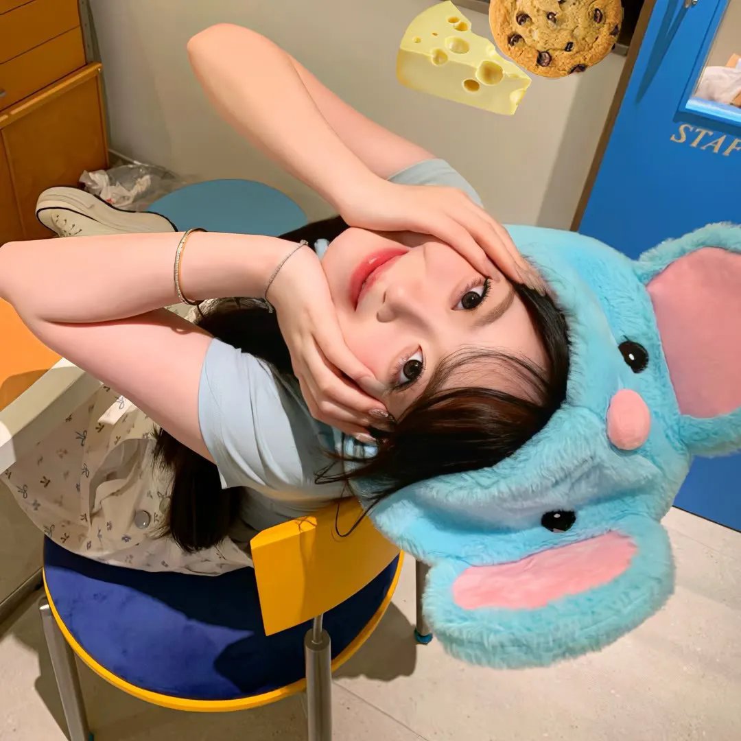 企鹅家族